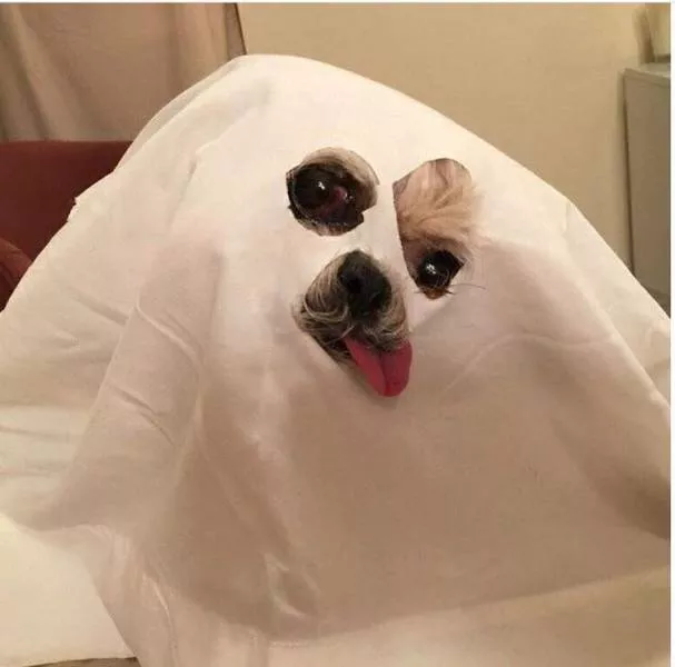 Picdump 222 - #80 