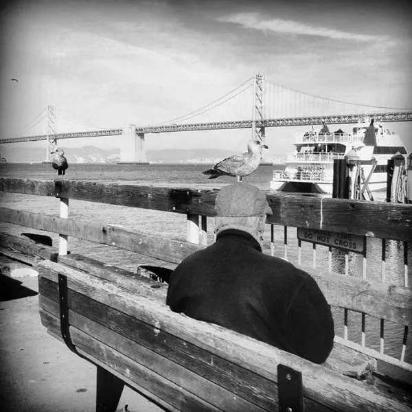 Des photos prisent au bon moment - #32 