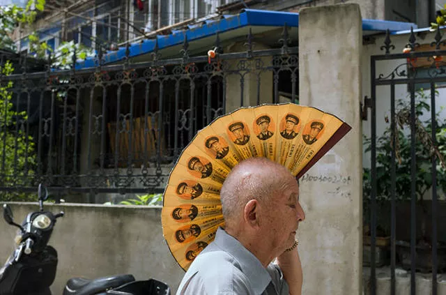 Pictures taken at the right time - #42 