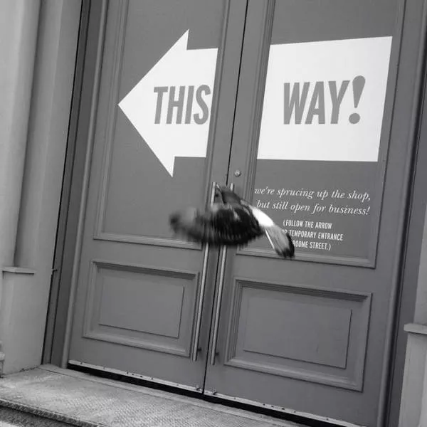 Pictures taken at the right time - #9 