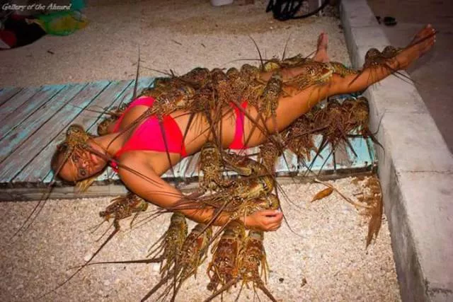 Picdump 223 - #9 