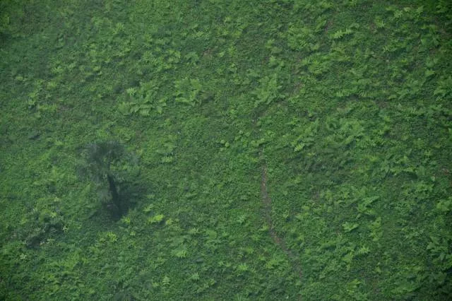 Lincroyable monde souterrain trouve en chine en 2015  - #13 