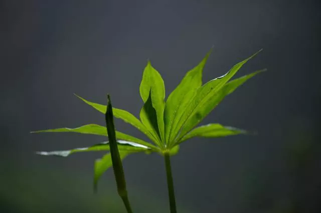 The incredible underworld found in china in 2015 - #2 