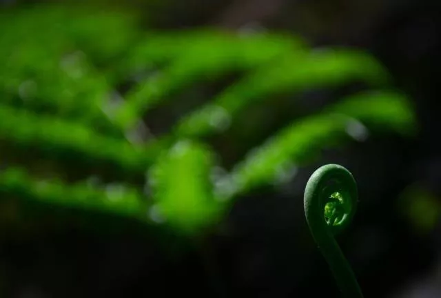 The incredible underworld found in china in 2015 - #6 