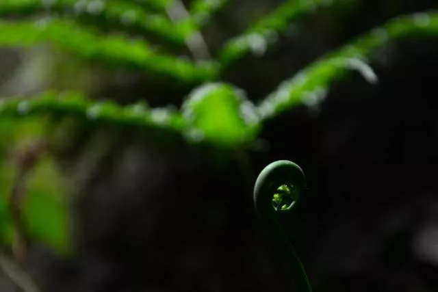 The incredible underworld found in china in 2015 - #7 