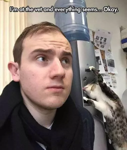 Picdump 225 - #15 