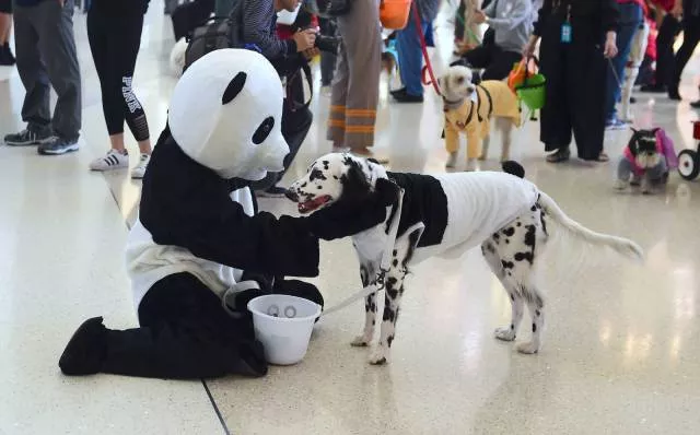 Picdump 225 - #24 