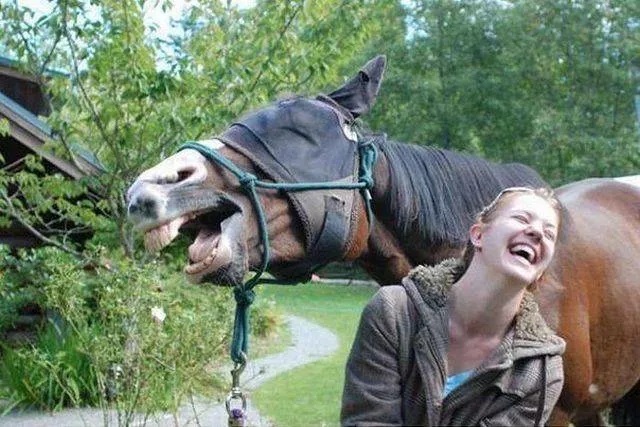 Picdump 225 - #3 