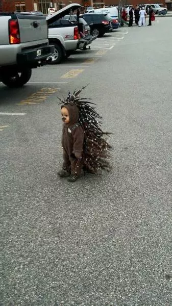 Picdump 225 - #51 Picdump 225 - #51