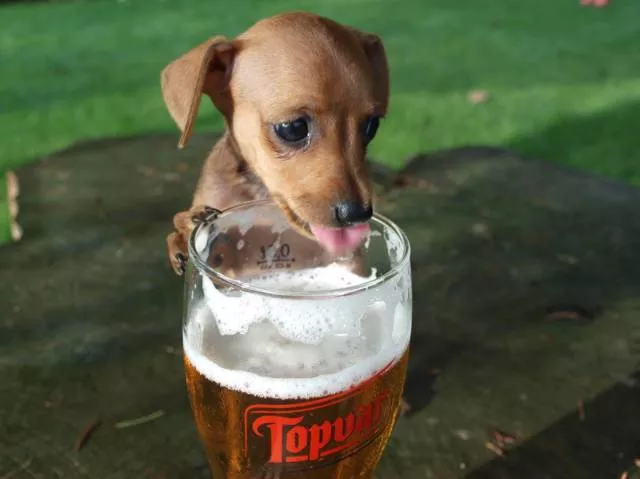 Picdump 225 - #6 