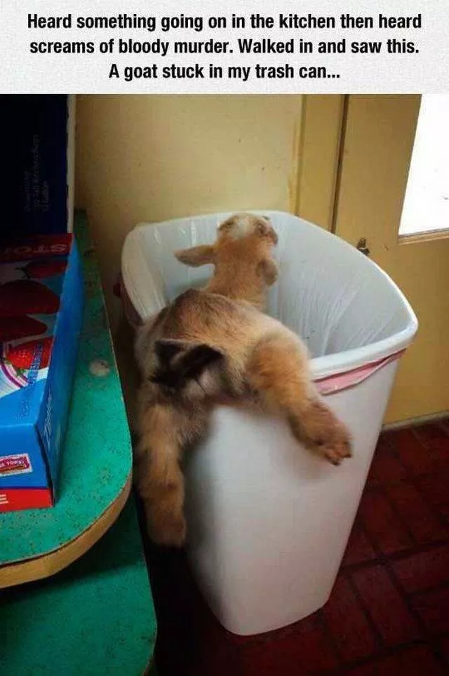 Picdump 225 - #60 Picdump 225 - #60