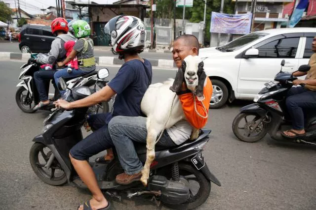 Picdump 225 - #73 