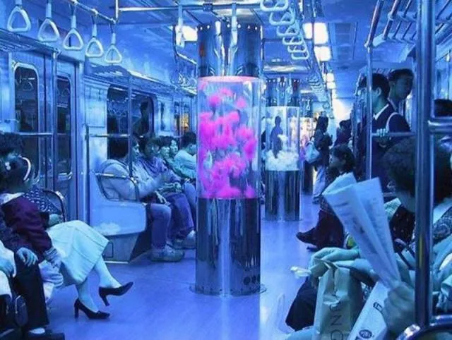 Picdump 226 - #19 