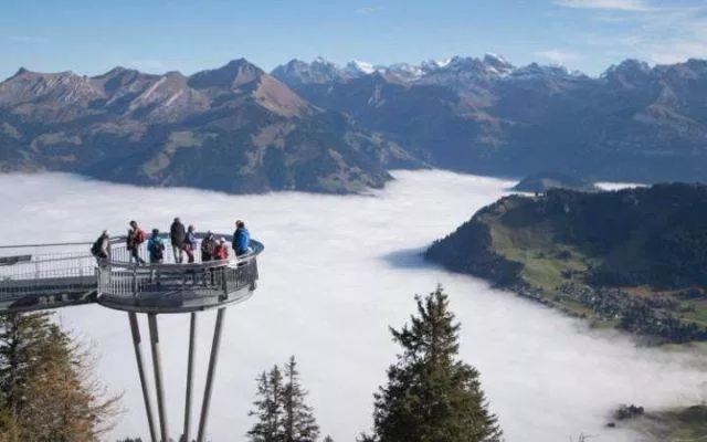 Picdump 226 - #43 