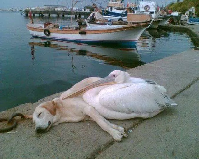 Picdump 226 - #5 