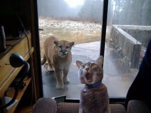 Picdump 226 - #51 