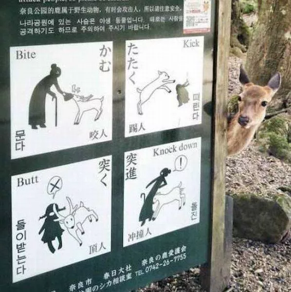 Picdump 226 - #57 
