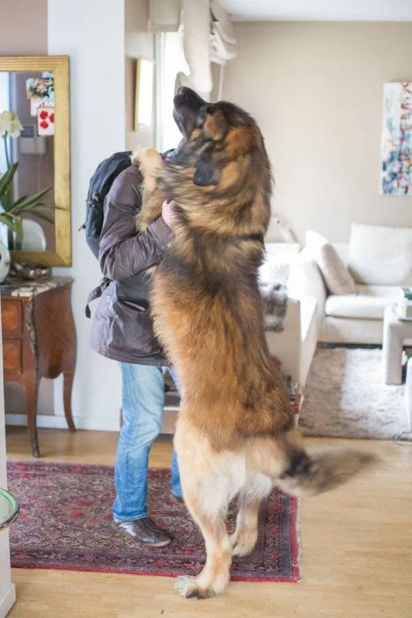 Picdump 227 - #18 
