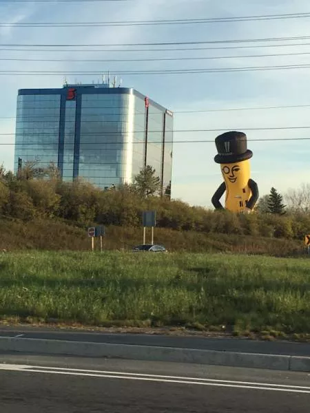 Picdump 227 - #23 