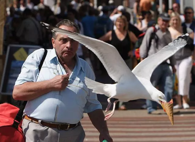 Picdump 227 - #28 