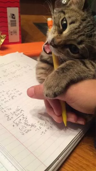 Picdump 39 - #106 