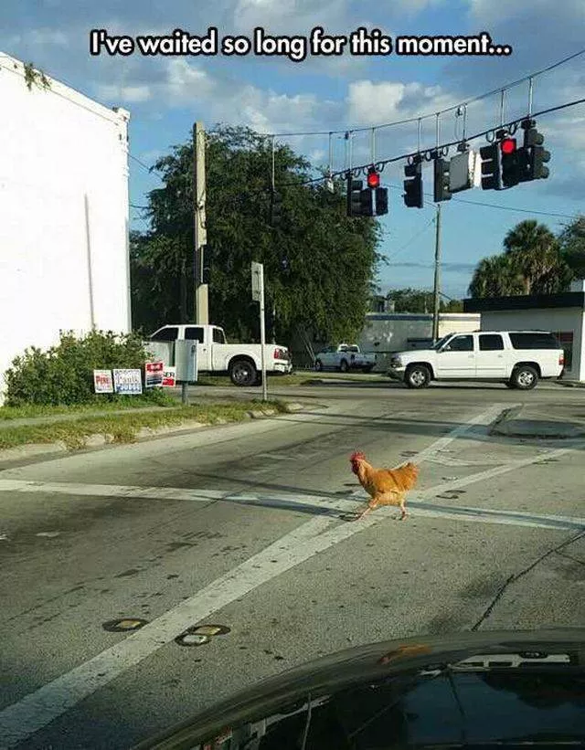 Picdump 39 - #112 