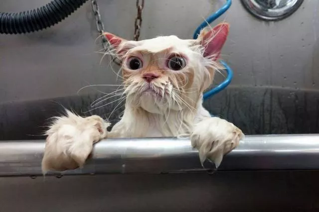 Picdump 39 - #113 