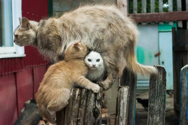 Picdump 39 - #31 