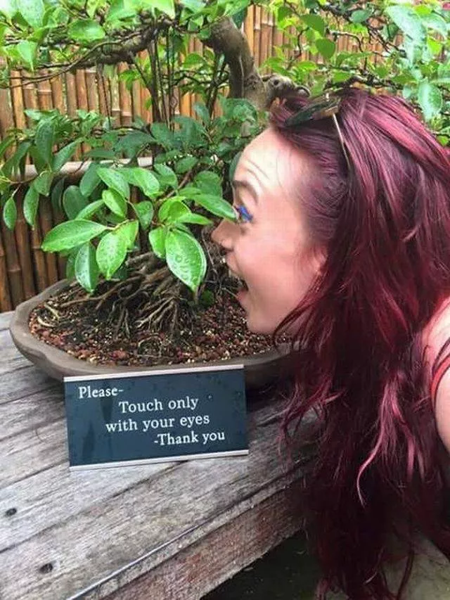 Picdump 39 - #48 