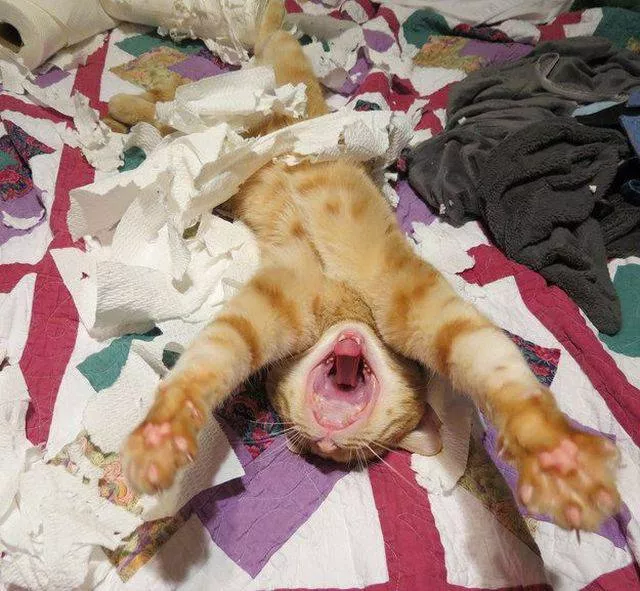 Picdump 39 - #59 