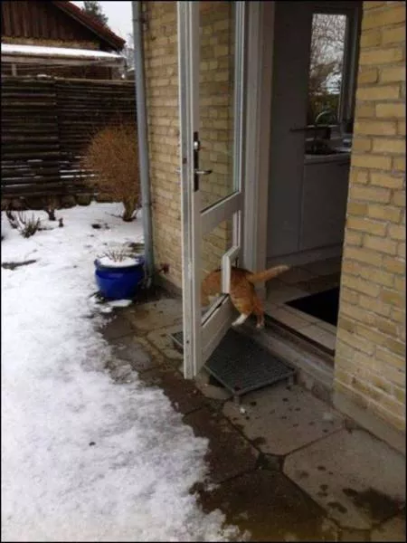 Picdump 39 - #82 