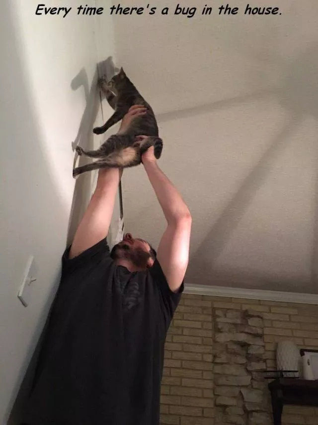 Picdump 39 - #90 