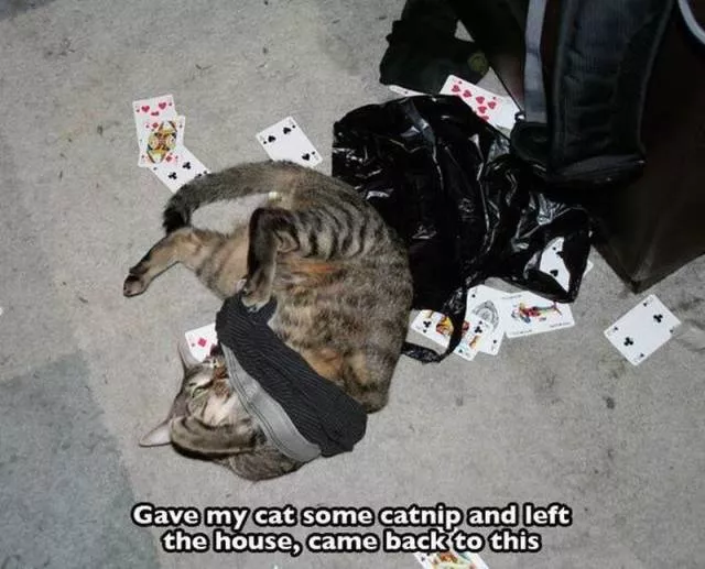 Picdump 39 - #94 