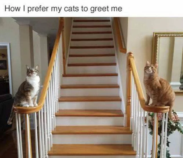 Picdump 39 - #95 