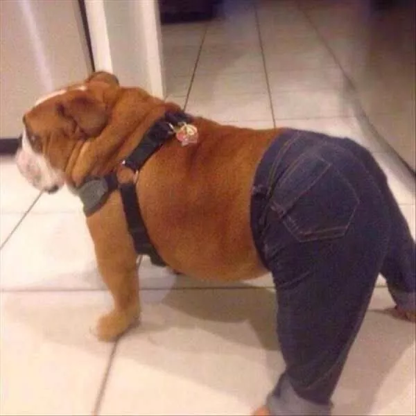 Picdump 228 - #20 