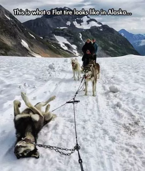 Picdump 228 - #25 