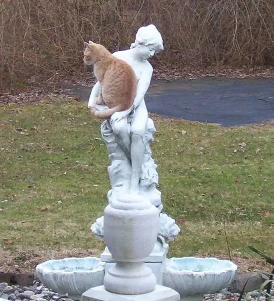 Picdump 228 - #33 