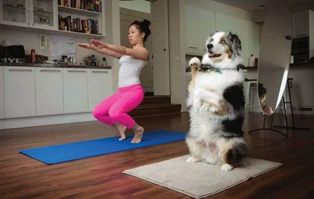 Picdump 228 - #39 