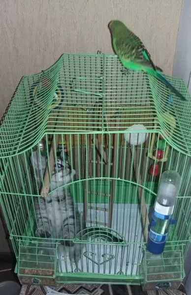 Picdump 228 - #41 