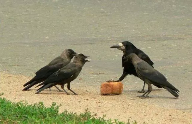 Picdump 228 - #55 