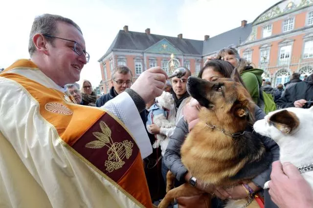 Picdump 228 - #77 