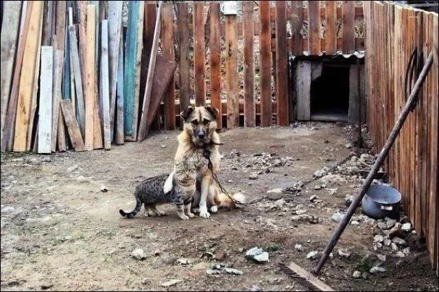 Picdump 228 - #81 