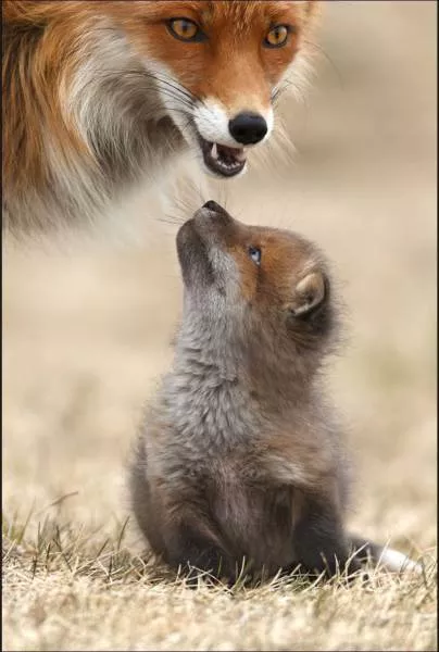 Picdump 228 - #83 