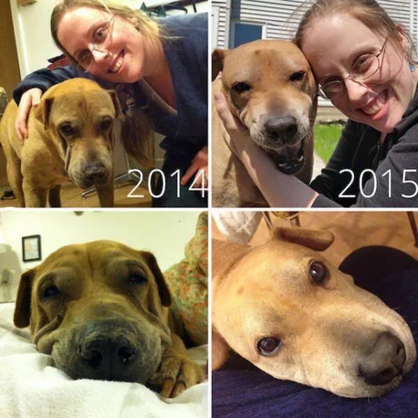 From sadness to happiness - #20 