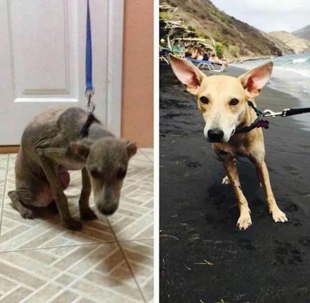 From sadness to happiness - #3 