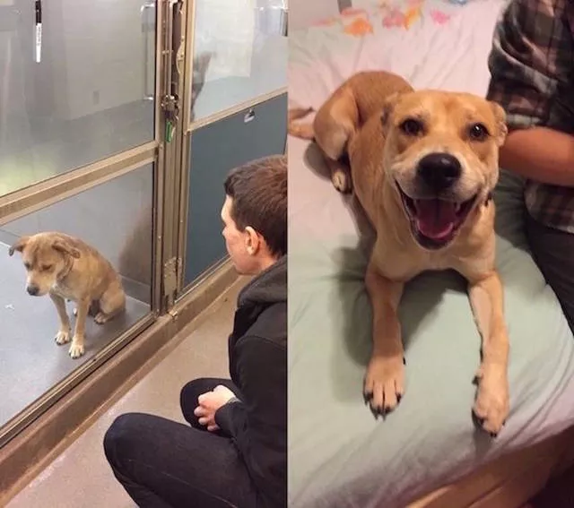 From sadness to happiness - #6 