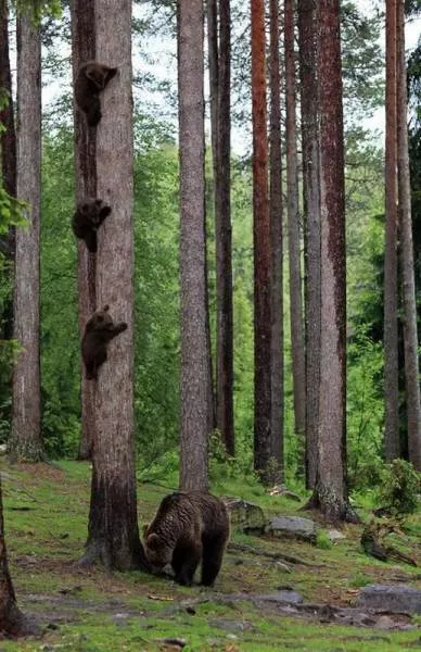 Picdump 229 - #26 