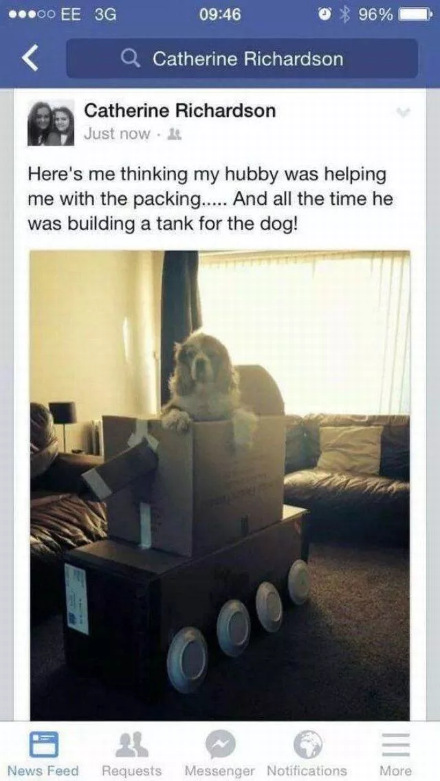 Picdump 229 - #47 