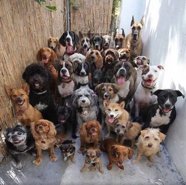 Picdump 229 - #97 