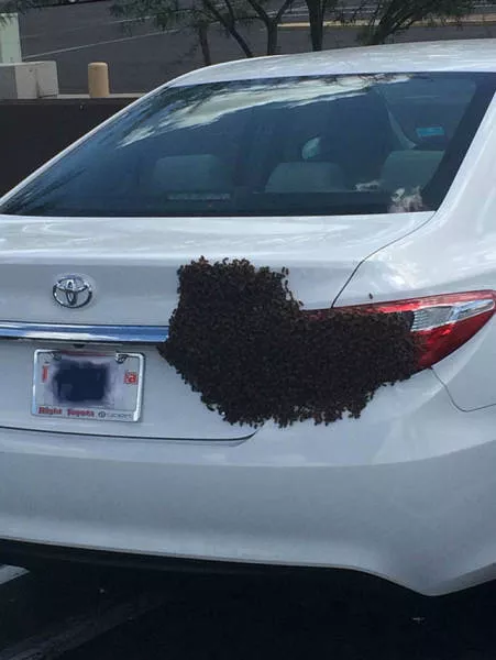 Trouver des explications pour ces photos - #25 
